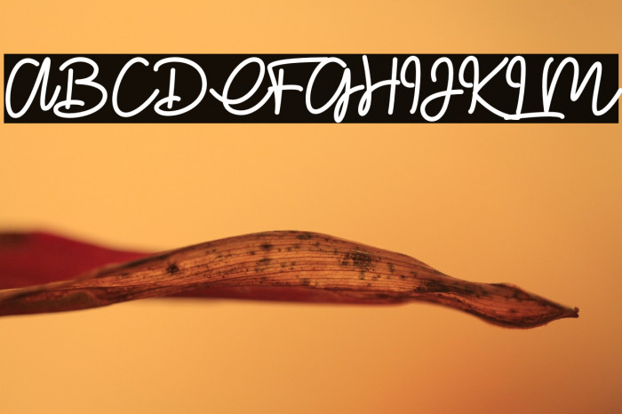 Glitter lovers Example 3