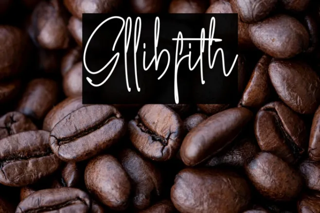 Gllibfith Example 1