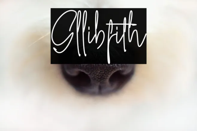 Gllibfith Example 3