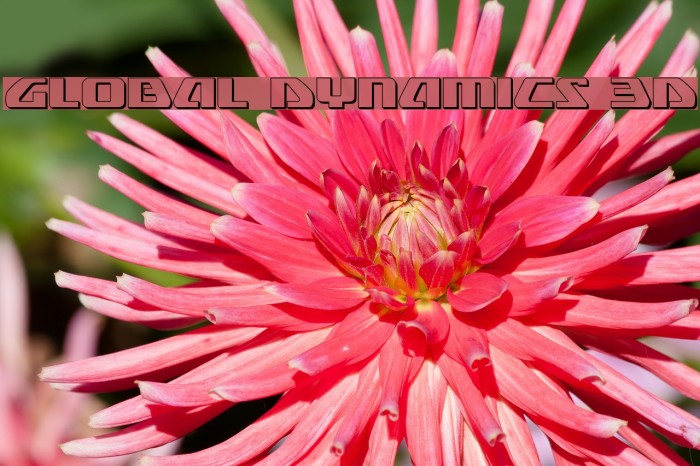 Global Dynamics 3D Example 3