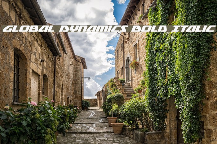 Global Dynamics Bold Italic Example 1