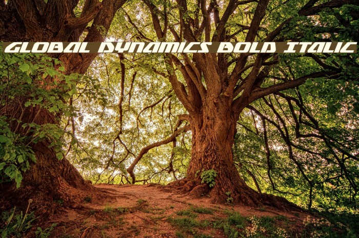 Global Dynamics Bold Italic Example 3