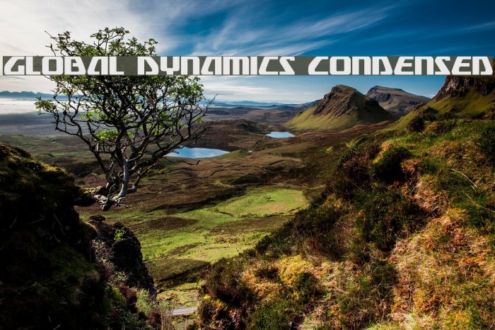 Global Dynamics Condensed Example 3