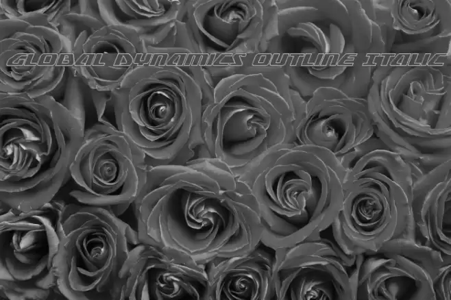 Global Dynamics Outline Italic Font examples