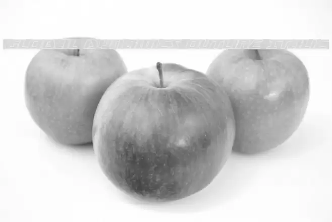 Global Dynamics Outline Italic Font examples