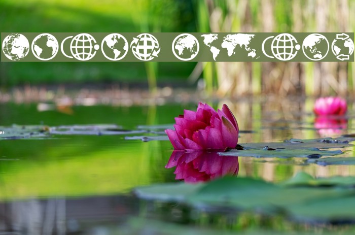 Globe Icons Font examples
