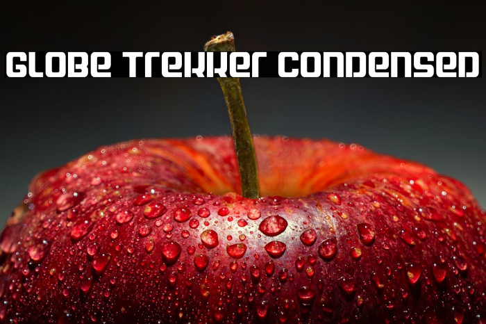 Globe Trekker Condensed Example 2