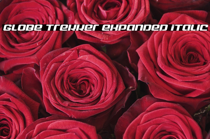 Globe Trekker Expanded Italic Example 1