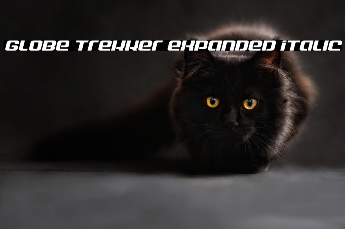 Globe Trekker Expanded Italic Example 2
