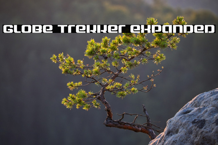 Globe Trekker Expanded Example 1