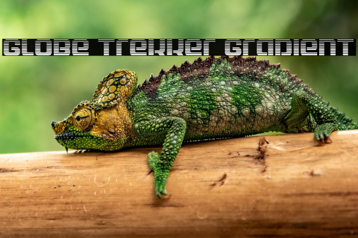 Globe Trekker Gradient Example 2