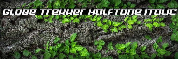 Globe Trekker Halftone Italic Example 2