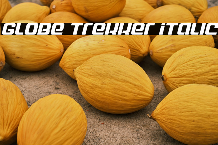 Globe Trekker Italic Example 2