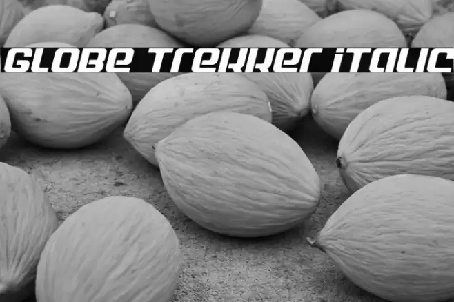 Globe Trekker Italic Font examples