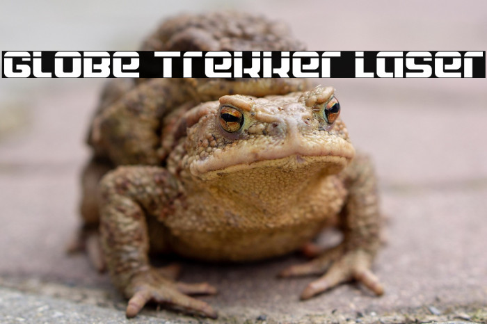 Globe Trekker Laser Example 1