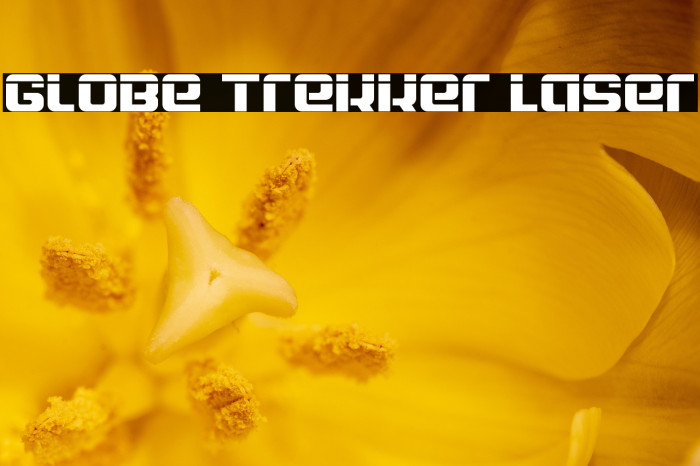 Globe Trekker Laser Example 3