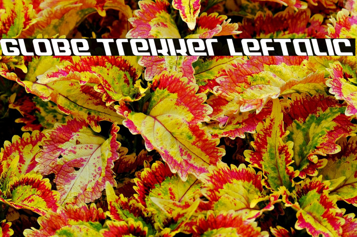 Globe Trekker Leftalic Example 2