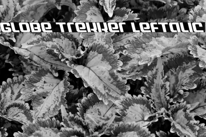 Globe Trekker Leftalic Font examples