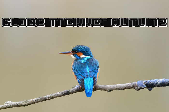 Globe Trekker Outline Example 2