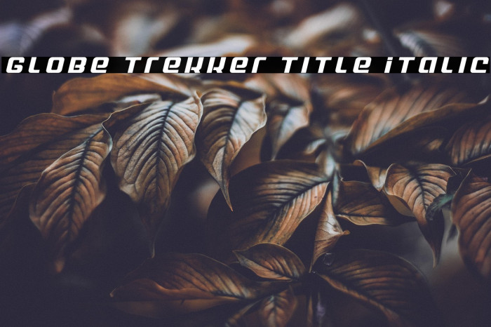 Globe Trekker Title Italic Example 1