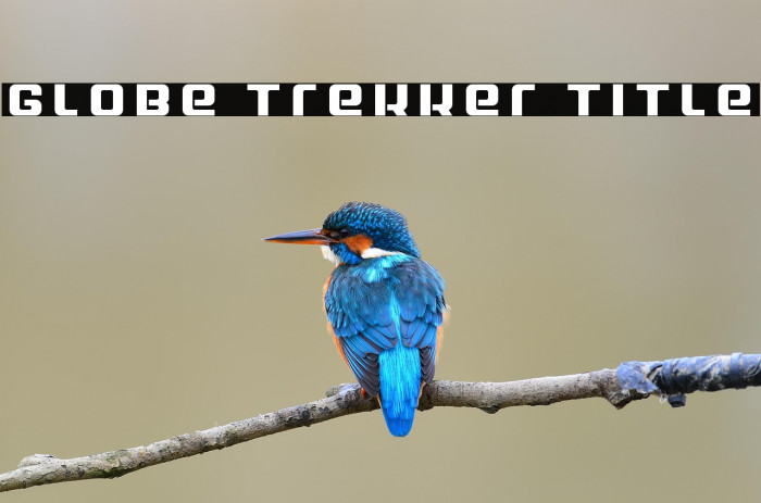 Globe Trekker Title Example 1