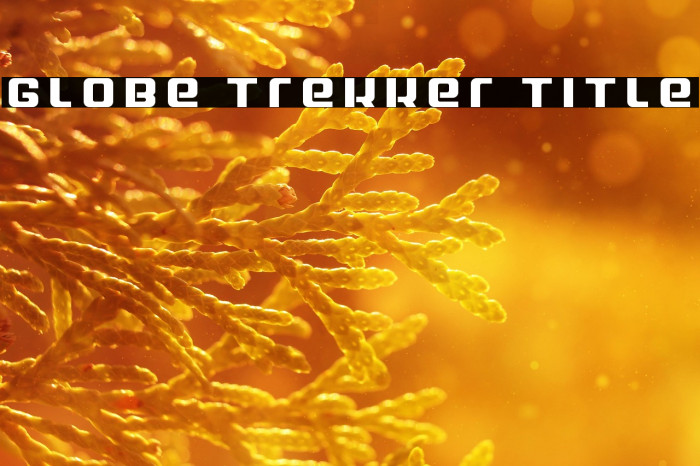 Globe Trekker Title Example 2