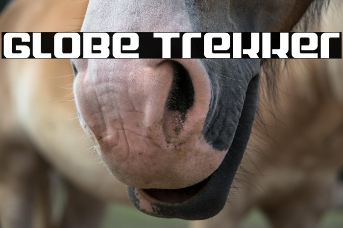 Globe Trekker Example 1