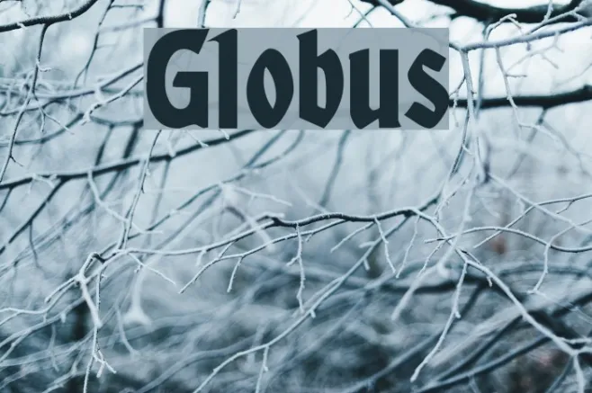 Globus Example 1