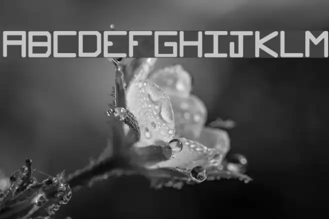 Glockenspiel Font examples