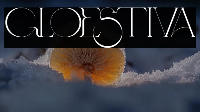 Gloestiva Example 2