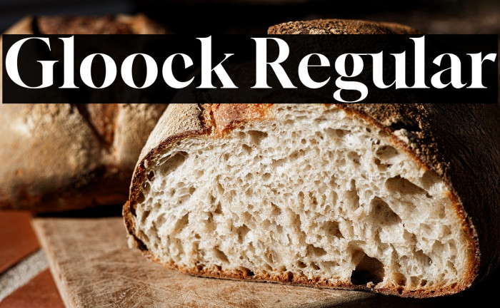 Gloock Regular Font examples