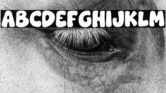 Gloomie Saturday Font examples