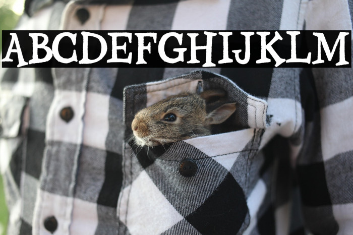 Gloomy Mummy Demo Example 3