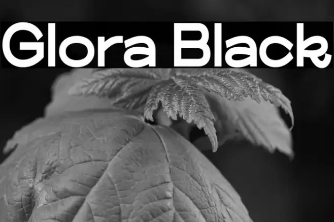 Glora Black Font examples