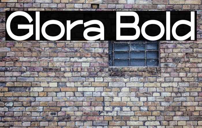 Glora Bold Example 3