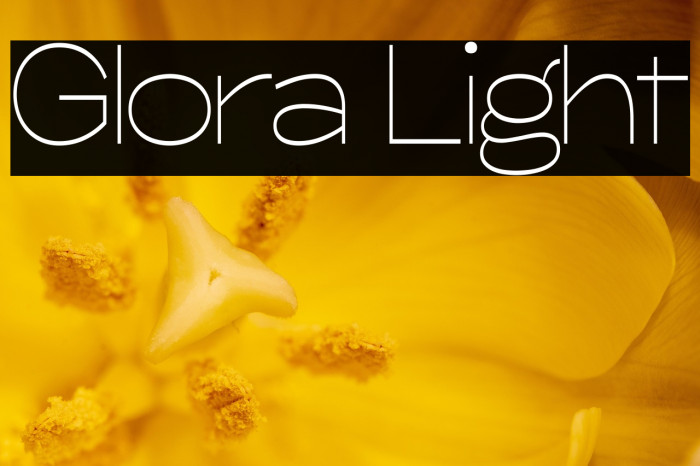 Glora Light Example 2