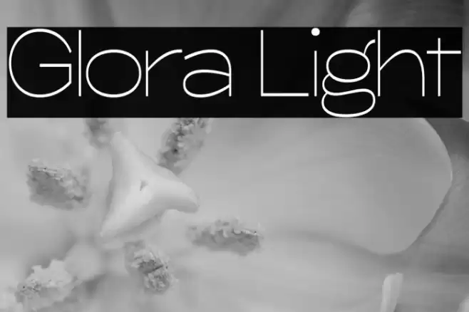Glora Light Font examples