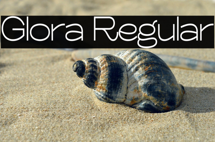 Glora Regular Example 1