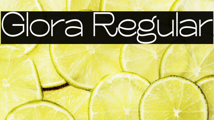 Glora Regular Example 2
