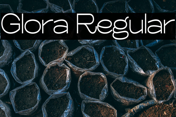 Glora Regular Example 3