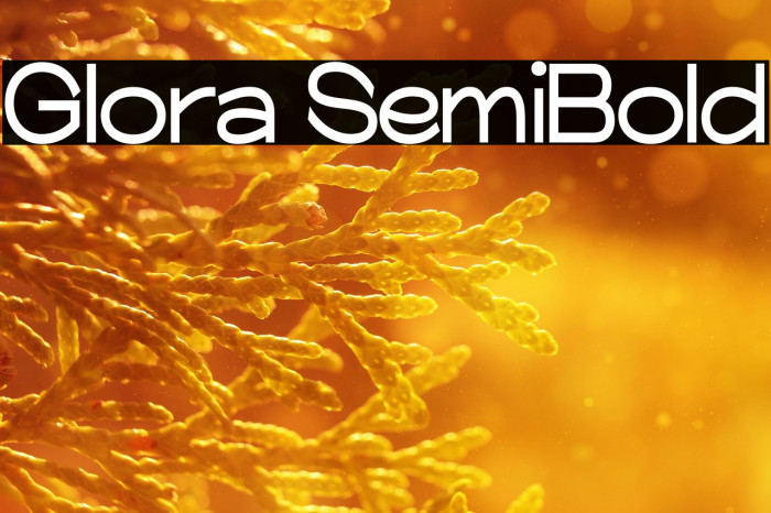 Glora SemiBold Example 1