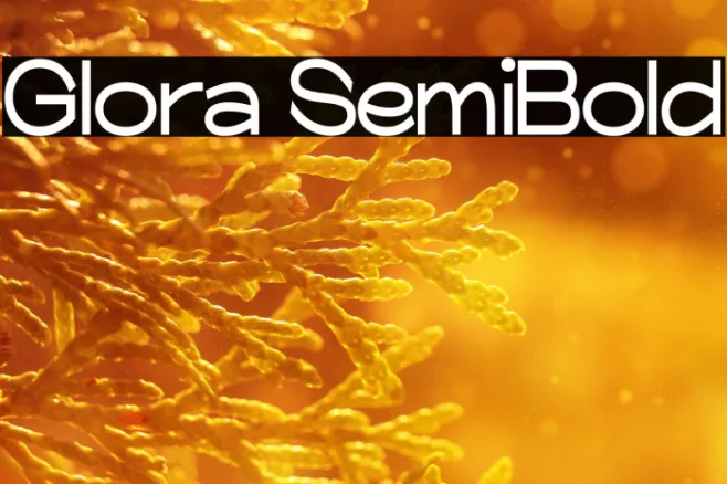 Glora SemiBold Example 1