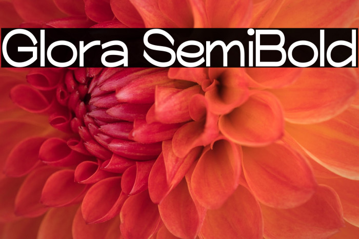 Glora SemiBold Example 2