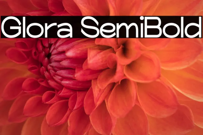 Glora SemiBold Example 2
