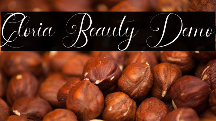 Gloria Beauty Demo Example 1