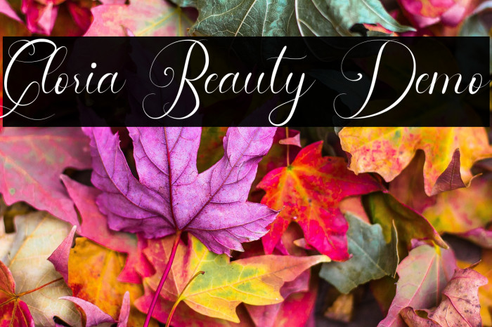 Gloria Beauty Demo Example 2