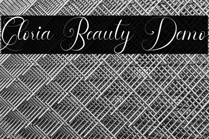 Gloria Beauty Demo Example 3