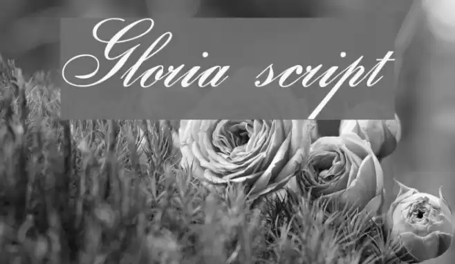 Gloria script Font examples