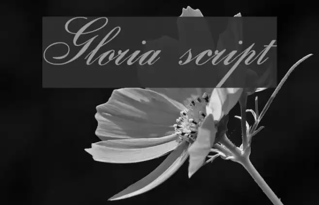 Gloria script Font examples