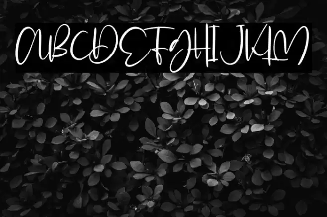 Glorial Font examples